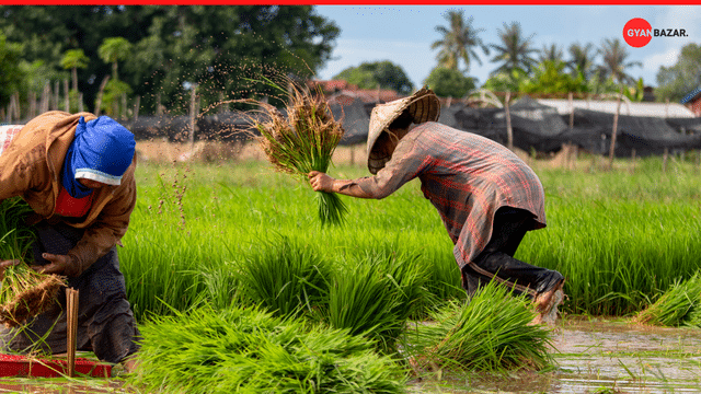 Pradhan Mantri Kisan Samman Nidhi: A Game Changer for Indian Farmers