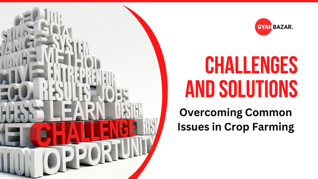 Challenges and Solutions: Overcoming Common Issues in Crop Farming