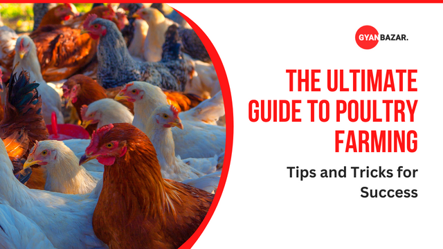 The Role of Technology in Modern Poultry Farming