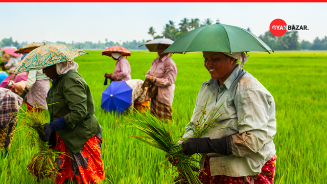 Revolutionizing Agriculture with Mechanization: The Benefits and Challenges