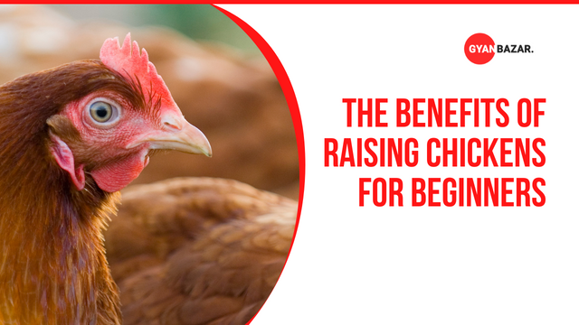 The Benefits of Free-Range Livestock Farming