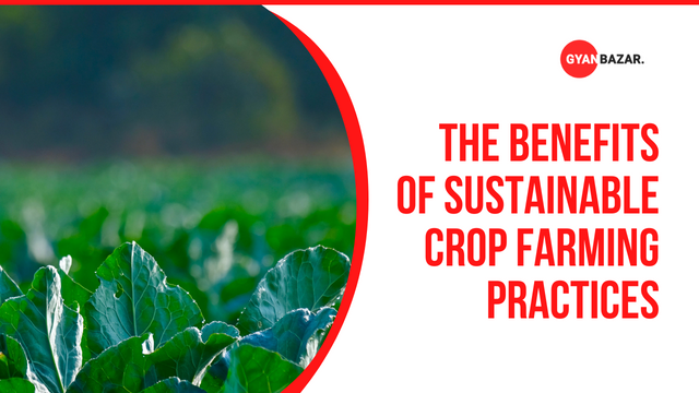 The Benefits of Sustainable Crop Farming Practices