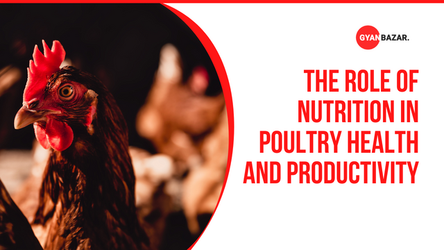 The Role of Nutrition in Poultry Health and Productivity