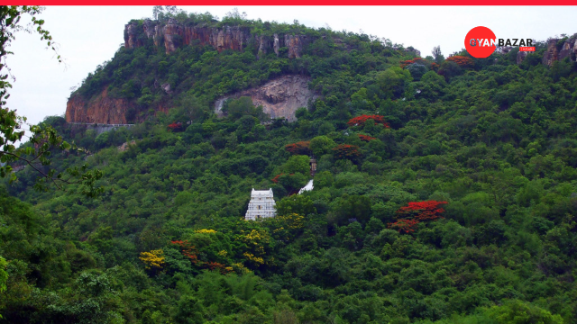 Sacred Journey to Tirupati: A Pilgrim’s Guide to the Holy City