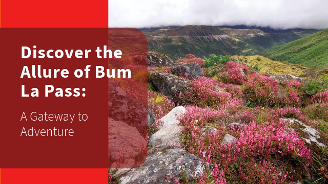 Discover the Allure of Bum La Pass: A Gateway to Adventure