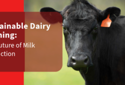 Sustainable Dairy Farming: The Future of Milk Production