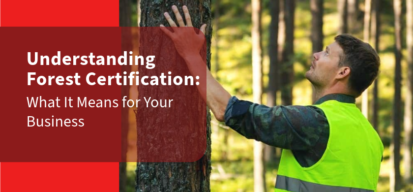 Understanding Forest Certification: What It Means for Your Business