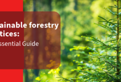sustainable forest practices